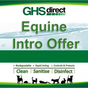 Equine Intro Offer